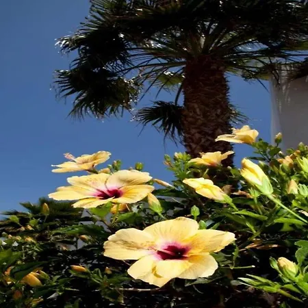 Playa Blanca Sleeps 4 Pool Wifi فيلة